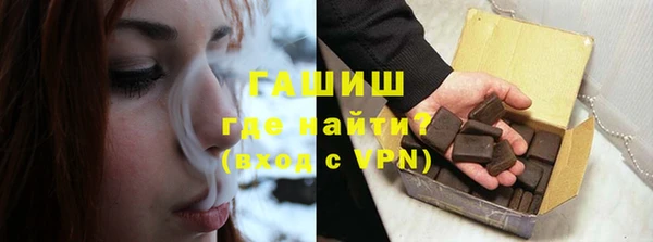 хмурый Алексин
