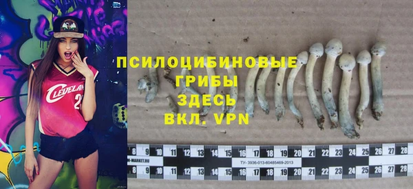 apvp Алексеевка
