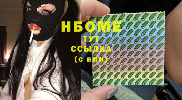 хмурый Алексин